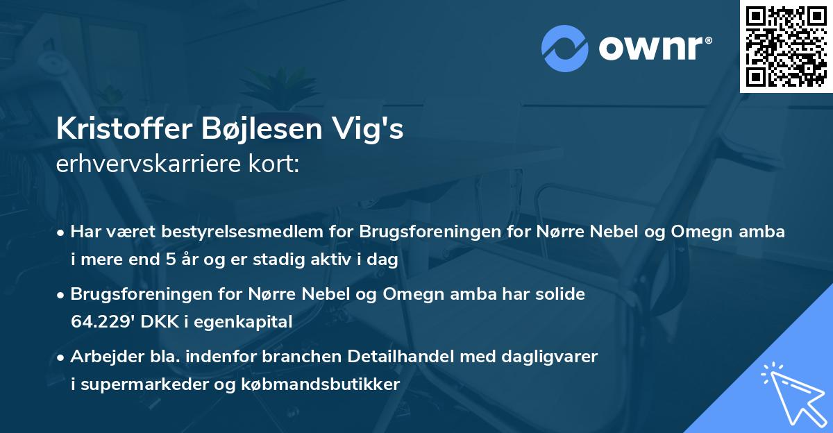 Kristoffer Bøjlesen Vig's erhvervskarriere kort