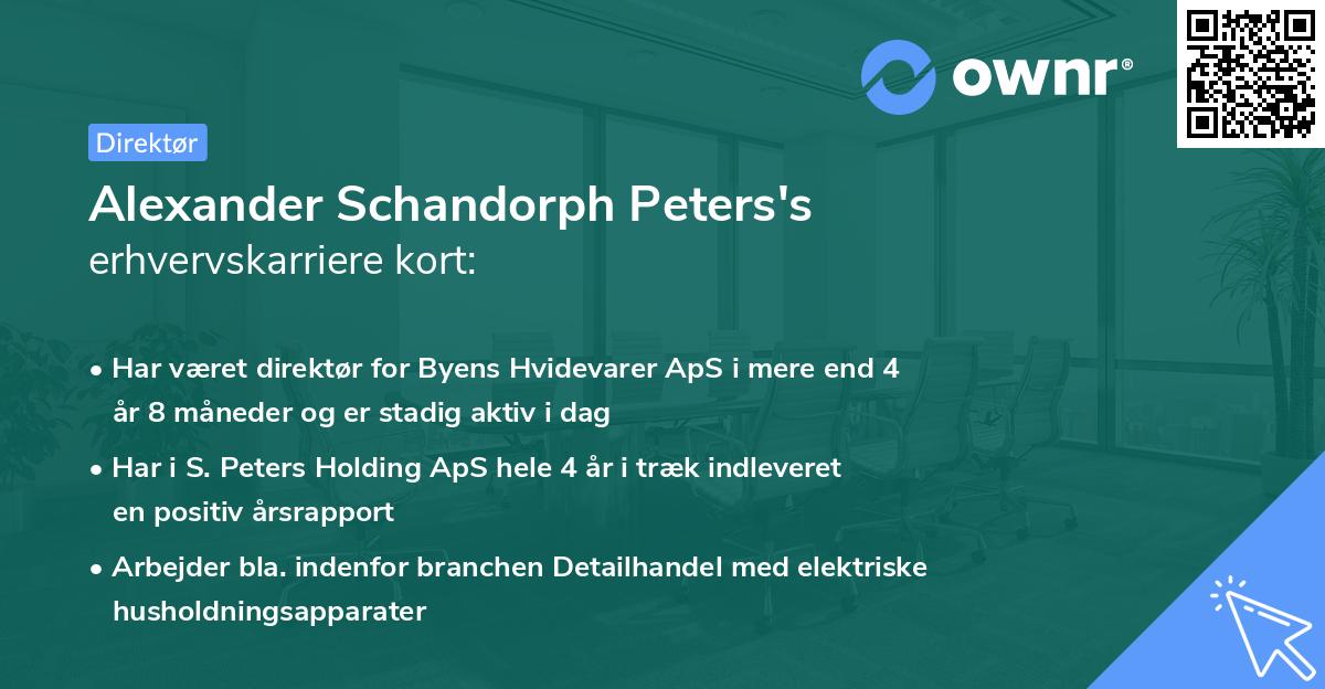 Alexander Schandorph Peters's erhvervskarriere kort