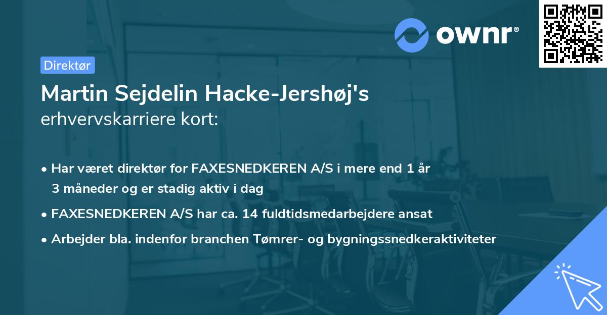 Martin Sejdelin Hacke-Jershøj's erhvervskarriere kort
