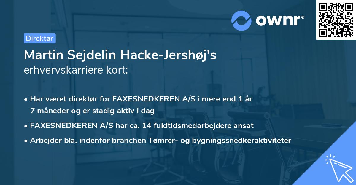 Martin Sejdelin Hacke-Jershøj's erhvervskarriere kort