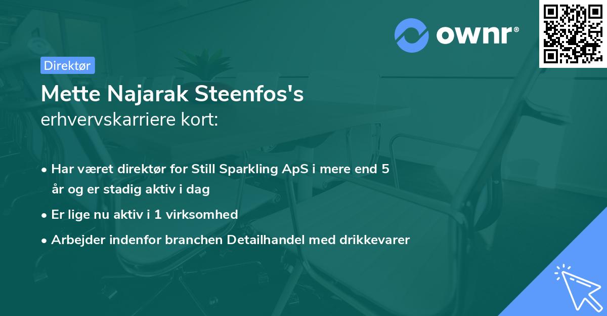 Mette Najarak Steenfos's erhvervskarriere kort