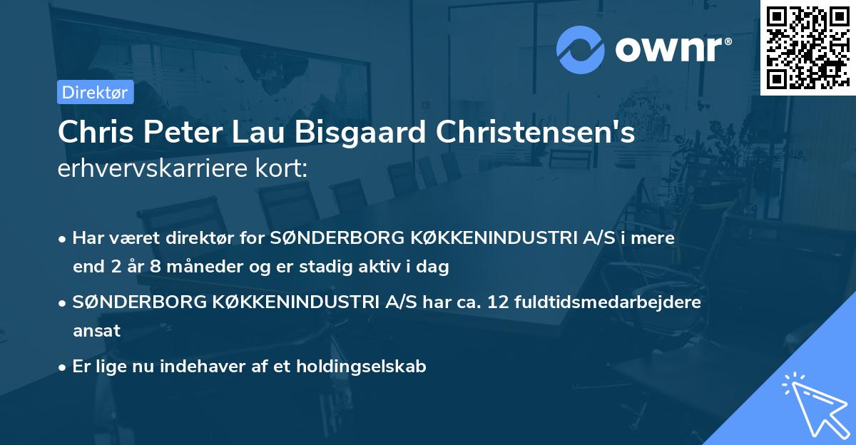Chris Peter Lau Bisgaard Christensen's erhvervskarriere kort