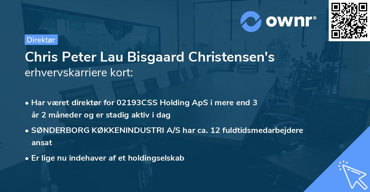 Chris Peter Lau Bisgaard Christensen's erhvervskarriere kort