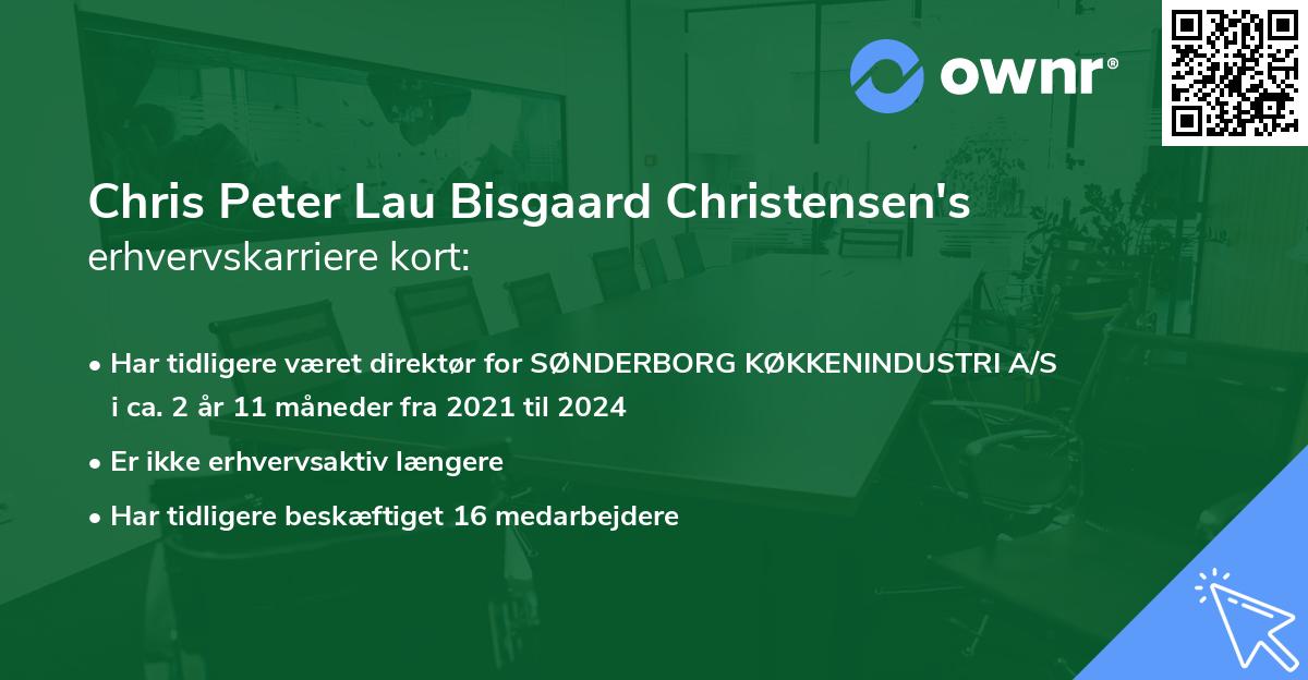 Chris Peter Lau Bisgaard Christensen's erhvervskarriere kort