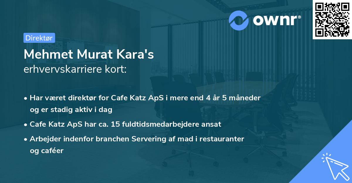 Mehmet Murat Kara's erhvervskarriere kort