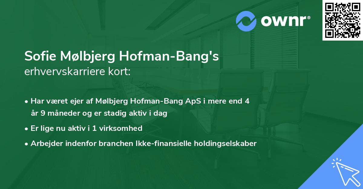 Sofie Mølbjerg Hofman-Bang's erhvervskarriere kort