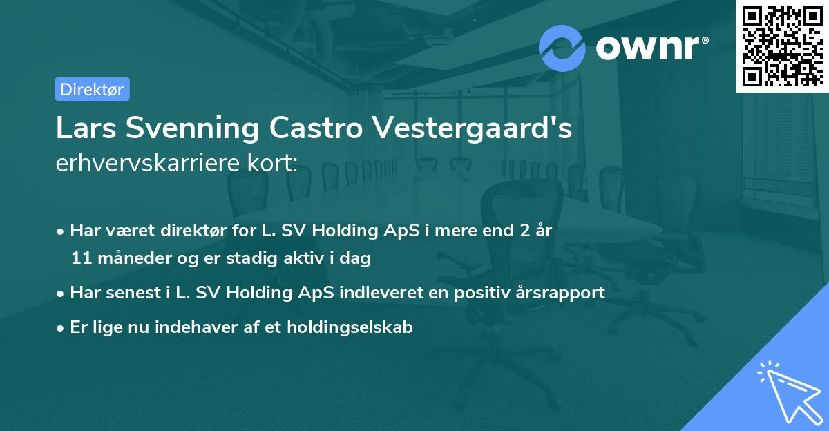 Lars Svenning Castro Vestergaard's erhvervskarriere kort