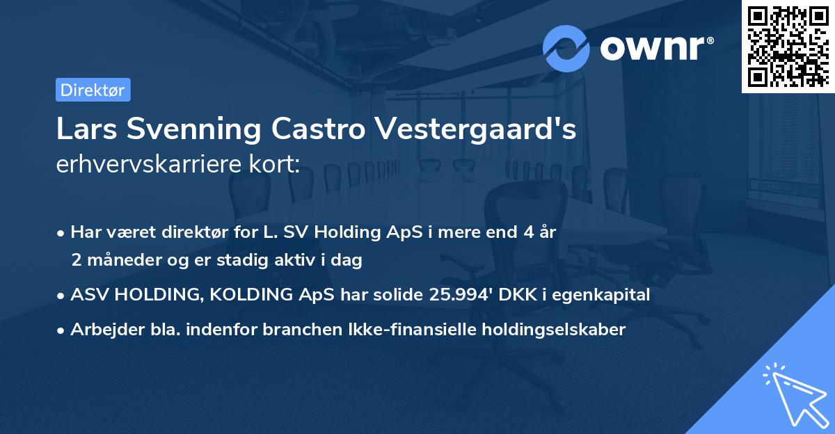 Lars Svenning Castro Vestergaard's erhvervskarriere kort