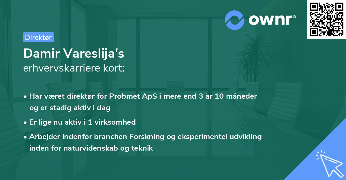 Damir Vareslija's erhvervskarriere kort