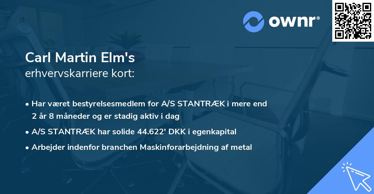 Carl Martin Elm's erhvervskarriere kort