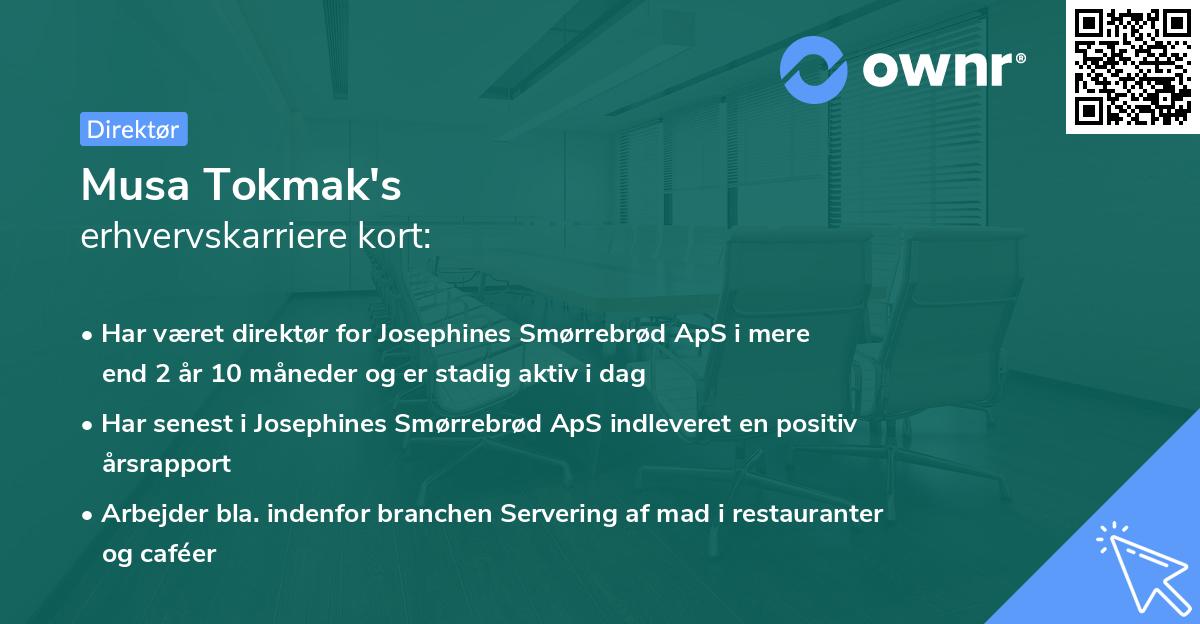 Musa Tokmak's erhvervskarriere kort