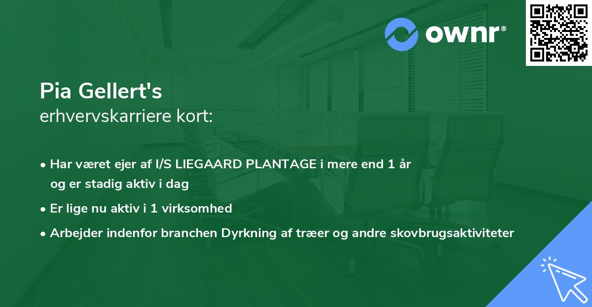 Pia Gellert's erhvervskarriere kort