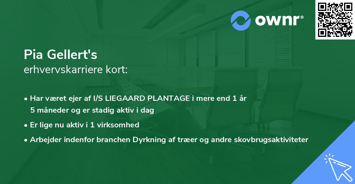 Pia Gellert's erhvervskarriere kort