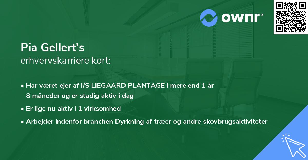 Pia Gellert's erhvervskarriere kort