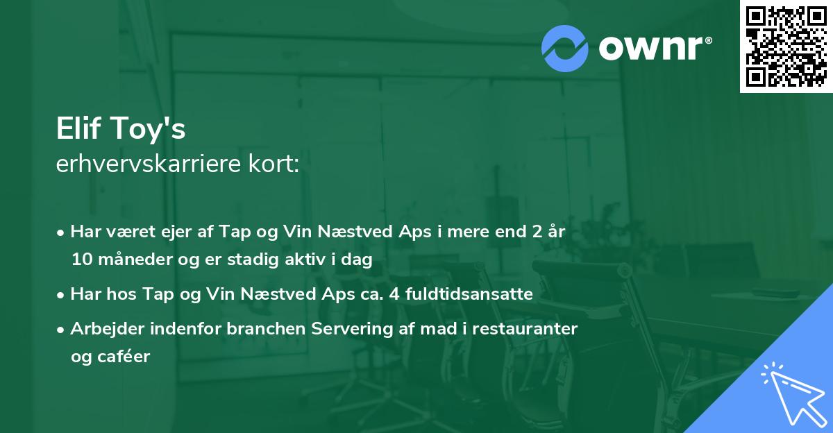 Elif Toy's erhvervskarriere kort
