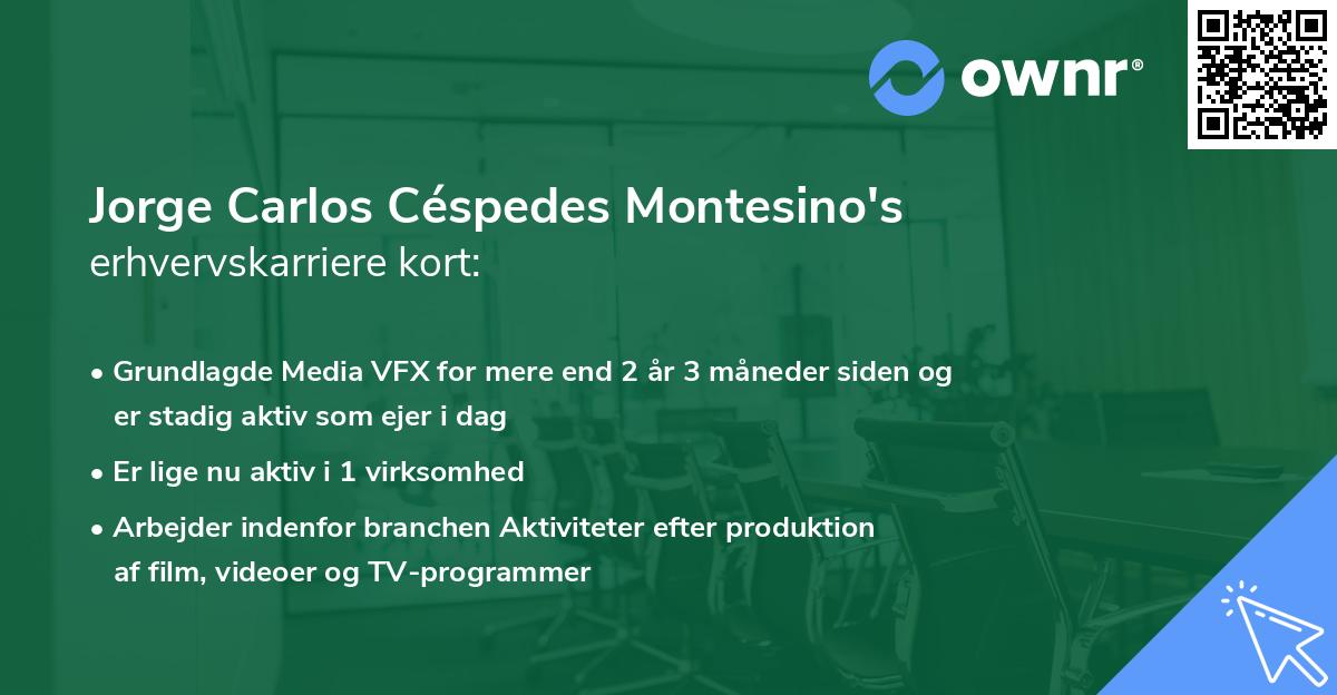 Jorge Carlos Céspedes Montesino's erhvervskarriere kort