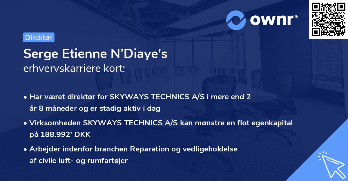 Serge Etienne N’Diaye's erhvervskarriere kort