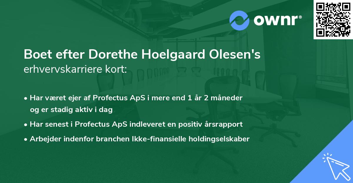 Boet efter Dorethe Hoelgaard Olesen's erhvervskarriere kort