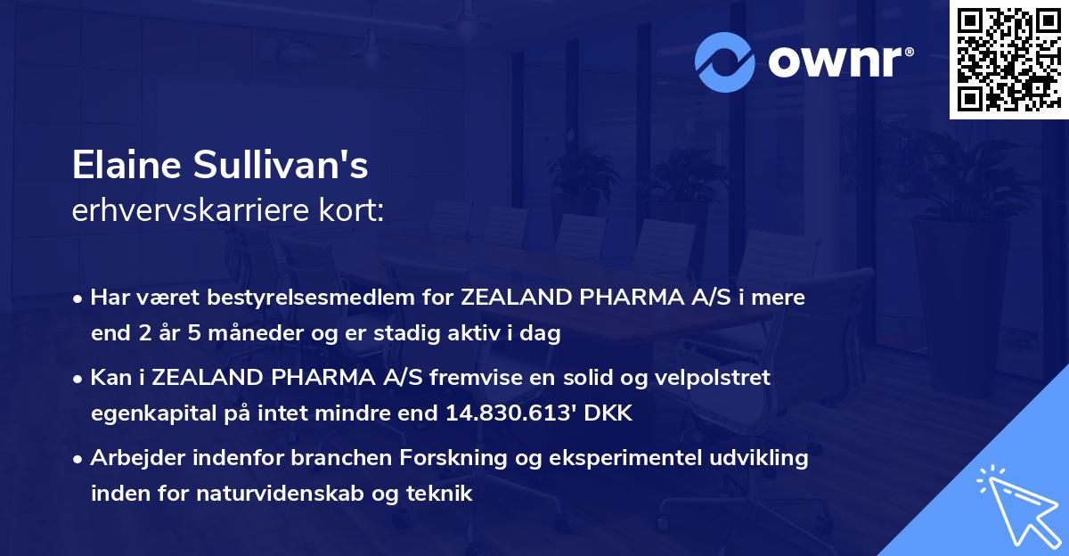 Elaine Sullivan's erhvervskarriere kort