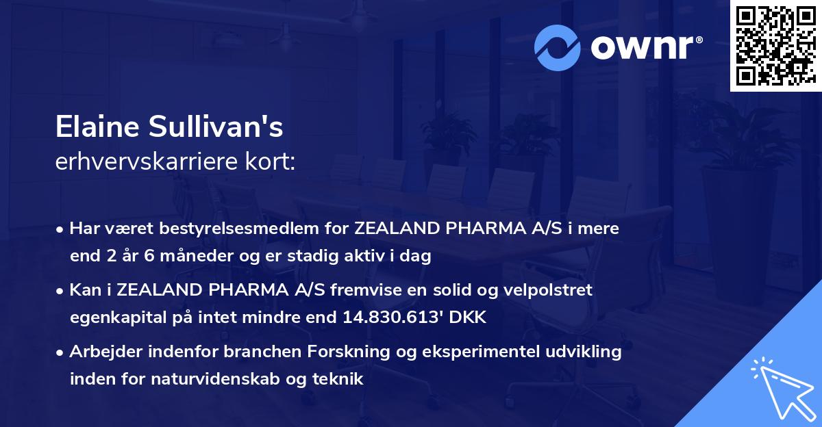 Elaine Sullivan's erhvervskarriere kort