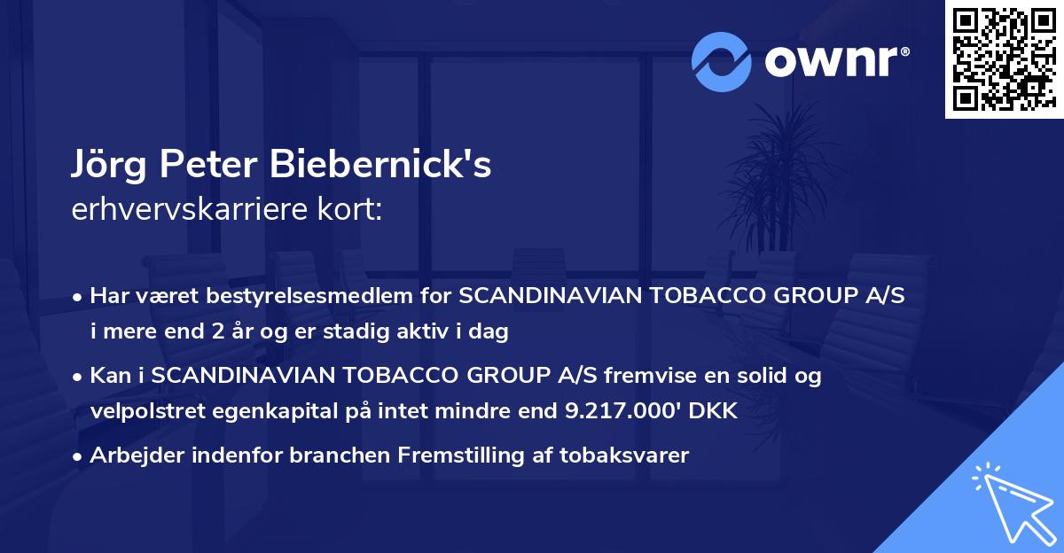 Jörg Peter Biebernick's erhvervskarriere kort