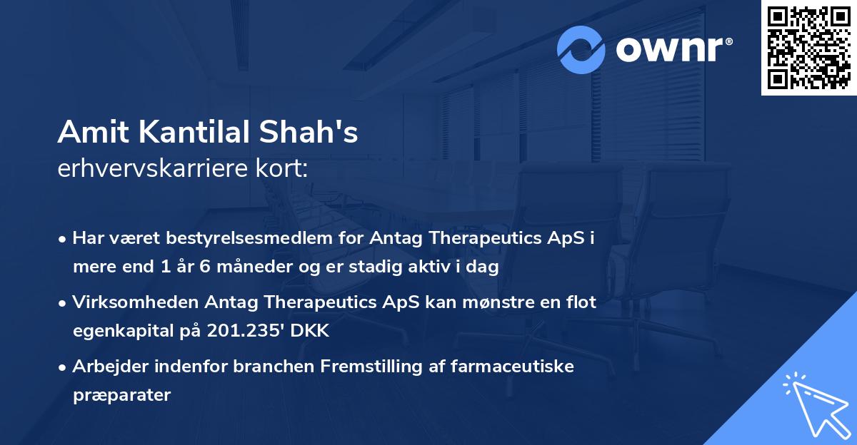 Amit Kantilal Shah's erhvervskarriere kort