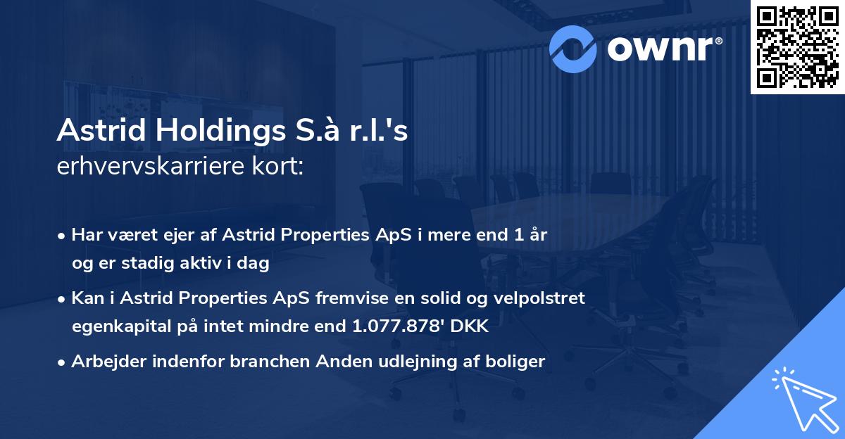 Astrid Holdings S.à r.l.'s erhvervskarriere kort