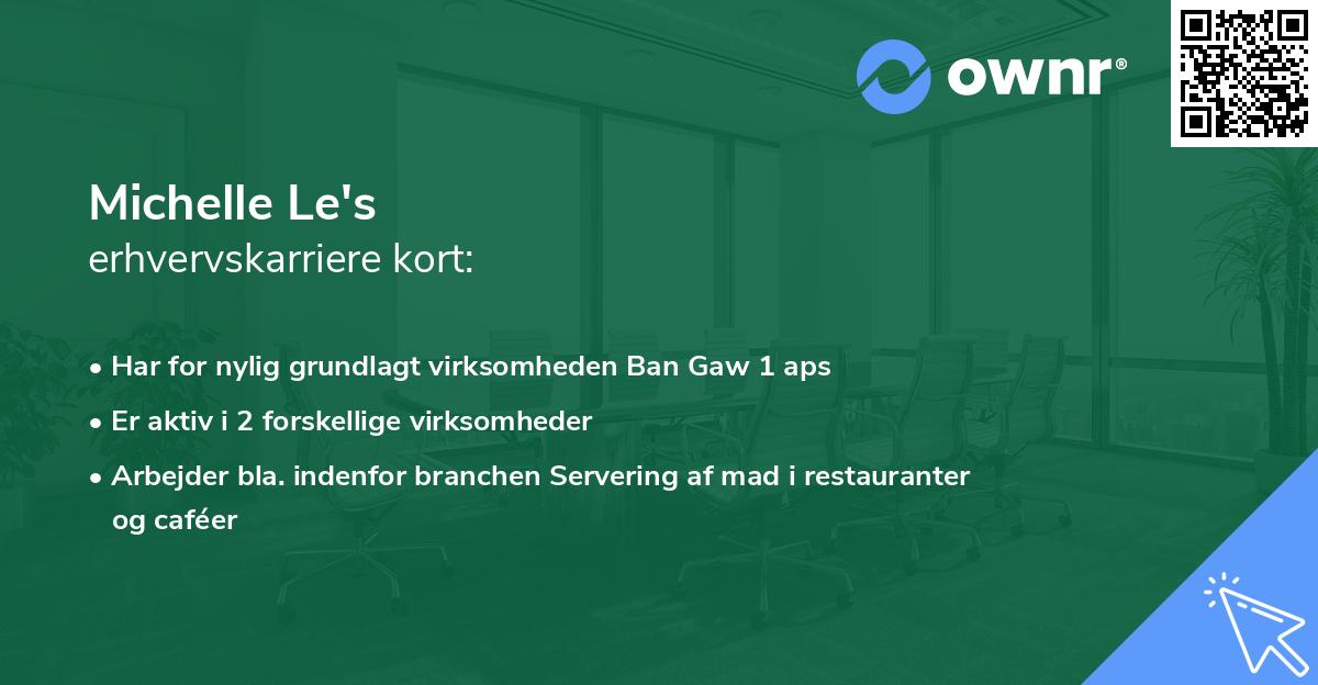 Michelle Le's erhvervskarriere kort