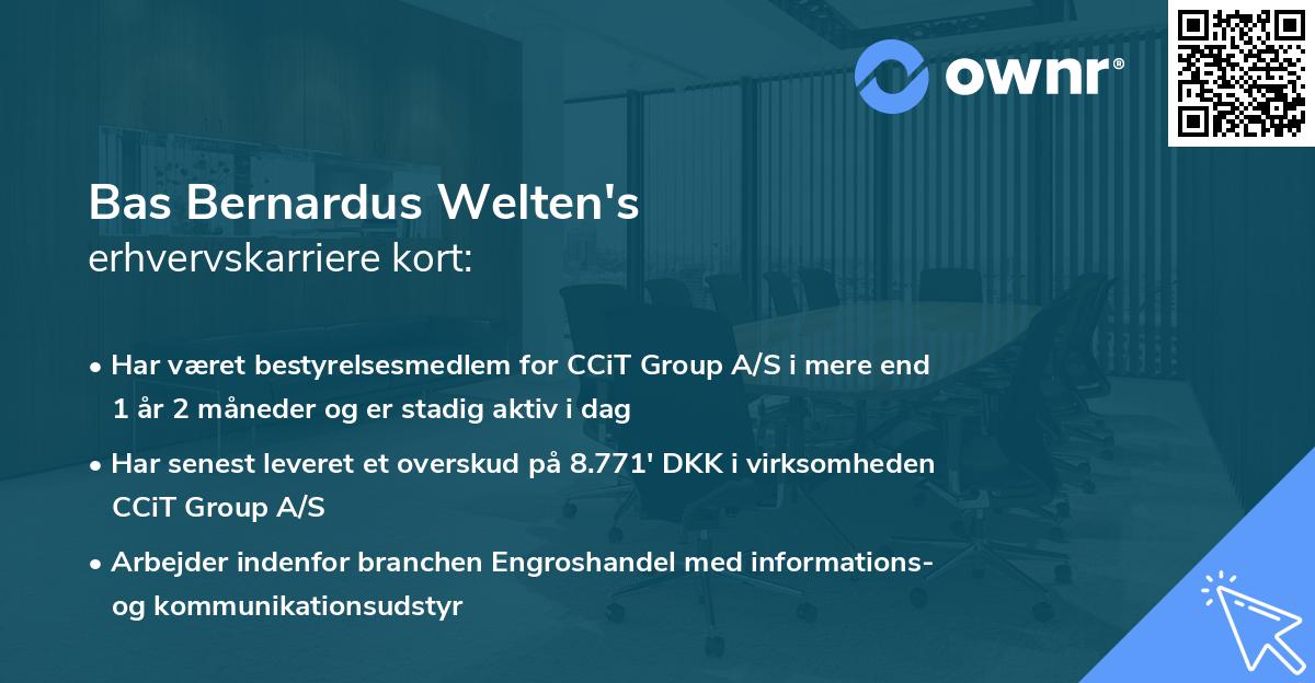 Bas Bernardus Welten's erhvervskarriere kort