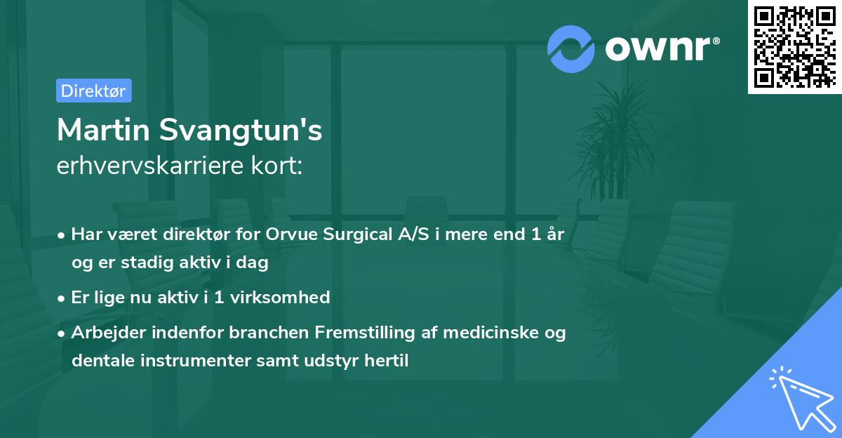 Martin Svangtun's erhvervskarriere kort