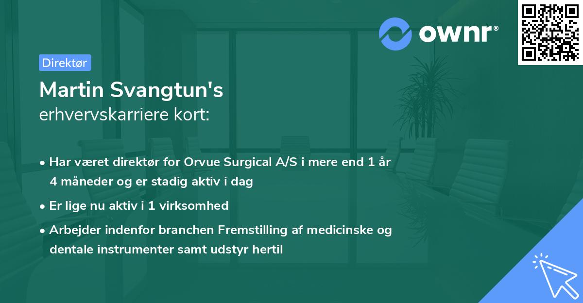 Martin Svangtun's erhvervskarriere kort