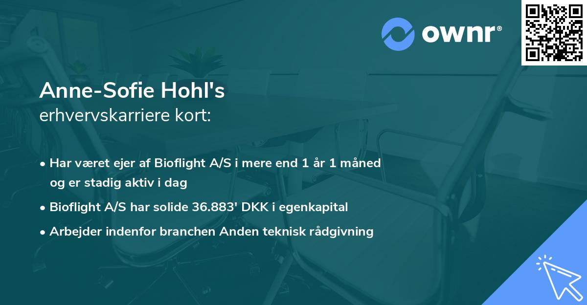 Anne-Sofie Hohl's erhvervskarriere kort