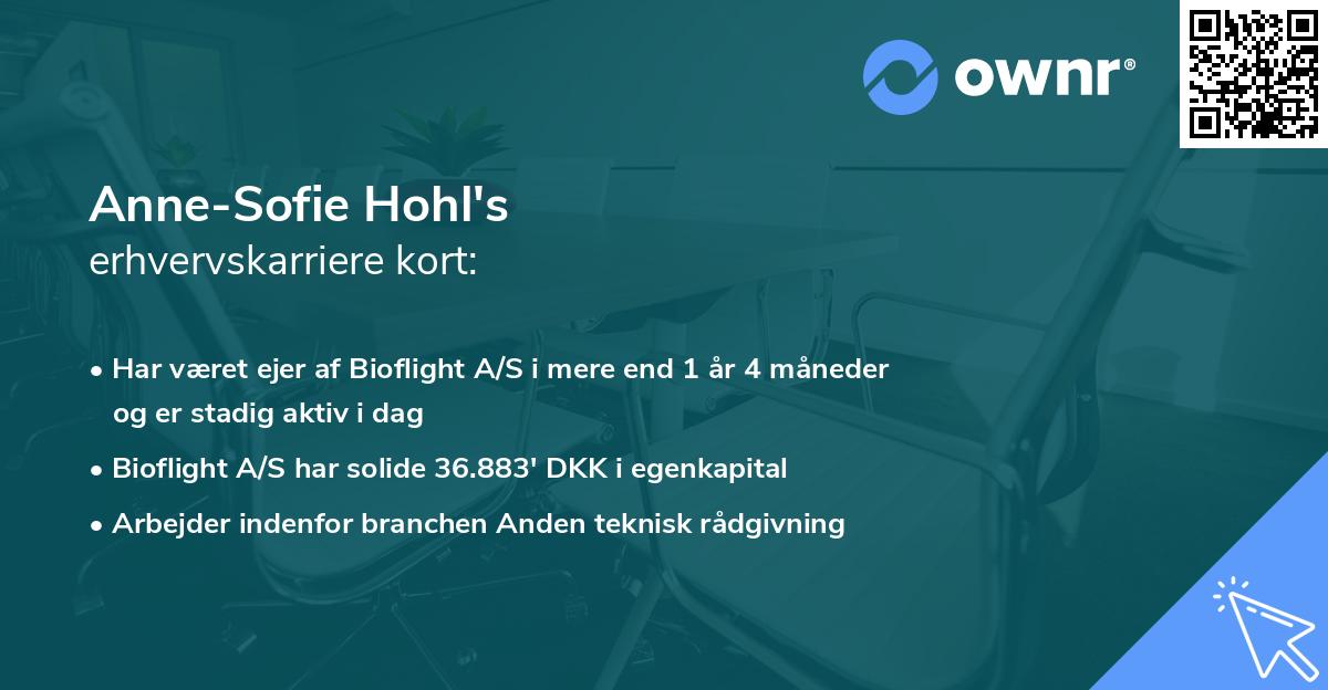 Anne-Sofie Hohl's erhvervskarriere kort