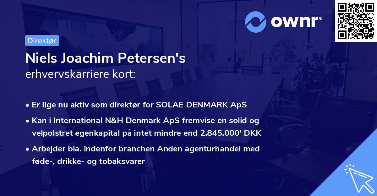 Niels Joachim Petersen's erhvervskarriere kort