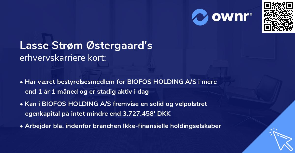 Lasse Strøm Østergaard's erhvervskarriere kort