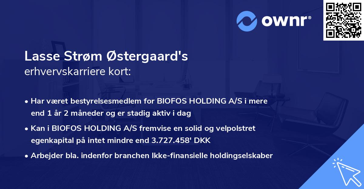 Lasse Strøm Østergaard's erhvervskarriere kort