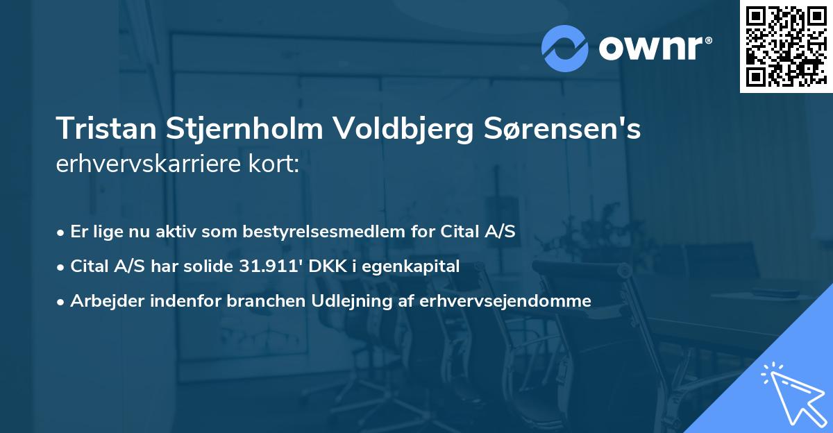 Tristan Stjernholm Voldbjerg Sørensen's erhvervskarriere kort