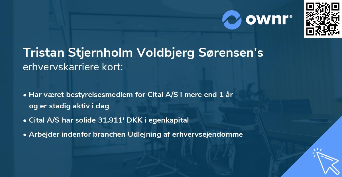 Tristan Stjernholm Voldbjerg Sørensen's erhvervskarriere kort