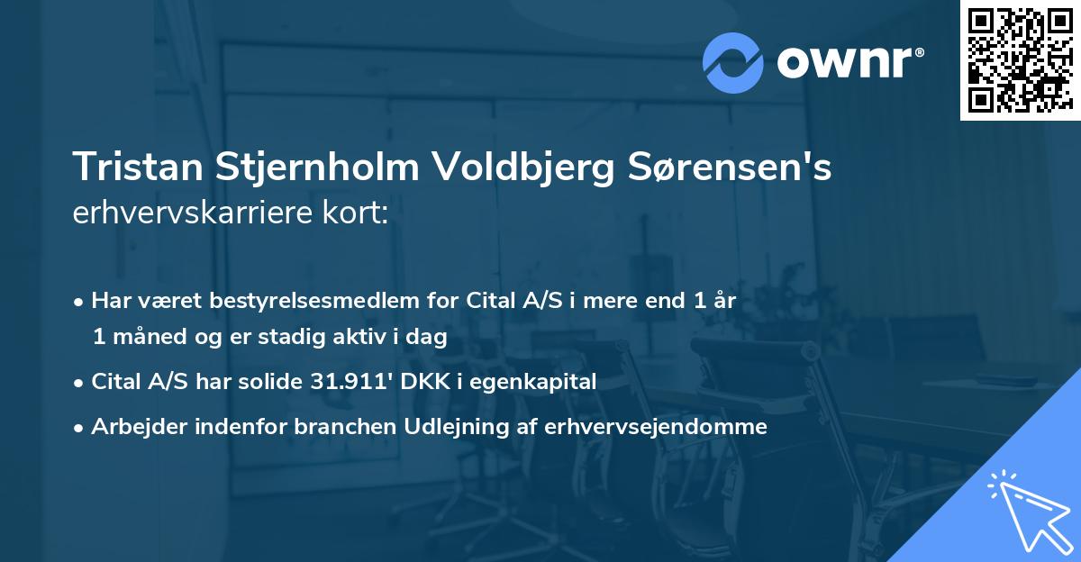 Tristan Stjernholm Voldbjerg Sørensen's erhvervskarriere kort