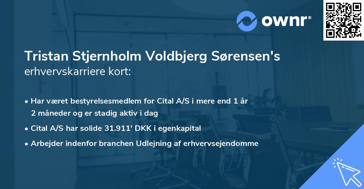 Tristan Stjernholm Voldbjerg Sørensen's erhvervskarriere kort