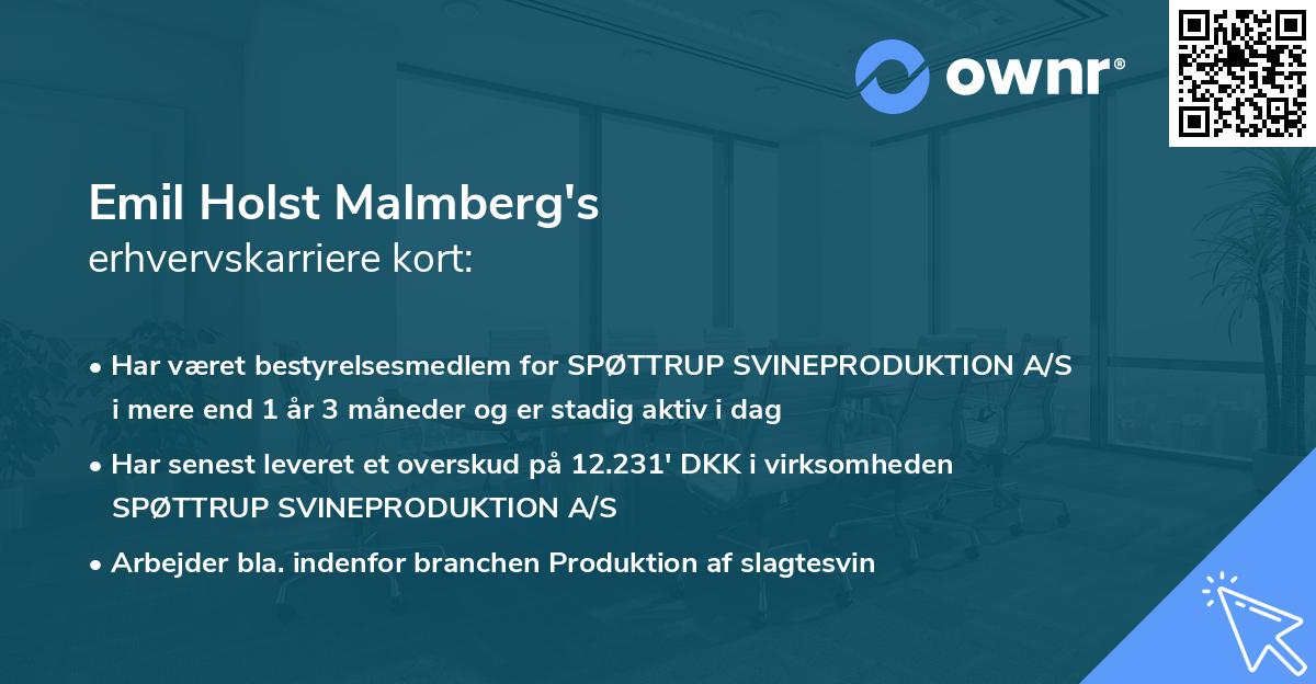Emil Holst Malmberg's erhvervskarriere kort