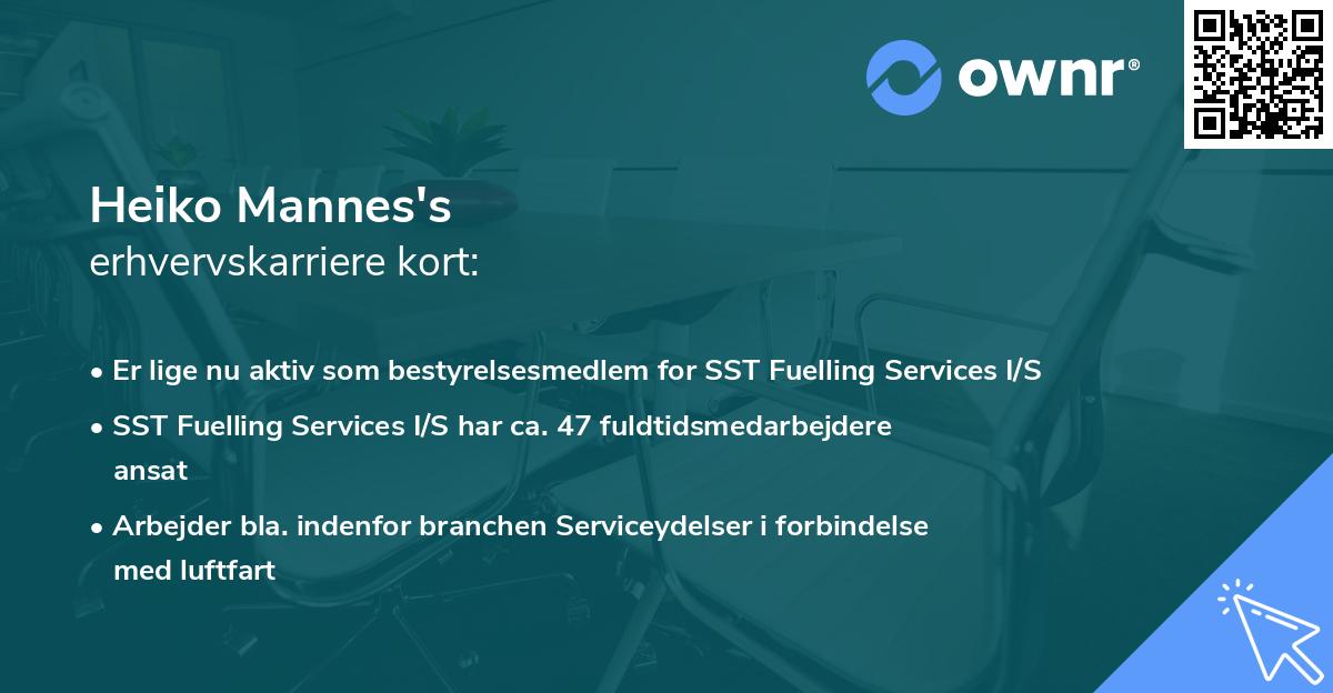 Heiko Mannes's erhvervskarriere kort