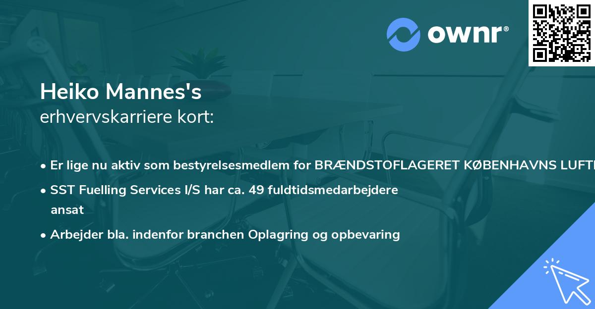 Heiko Mannes's erhvervskarriere kort