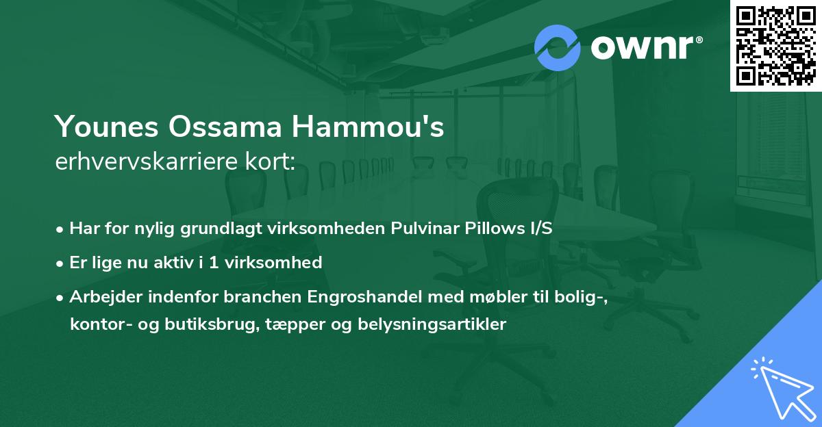 Younes Ossama Hammou's erhvervskarriere kort