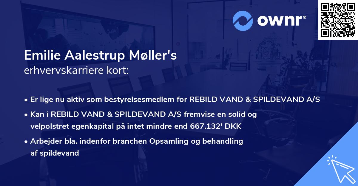 Emilie Aalestrup Møller's erhvervskarriere kort