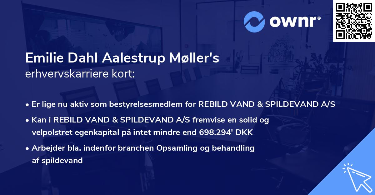 Emilie Dahl Aalestrup Møller's erhvervskarriere kort