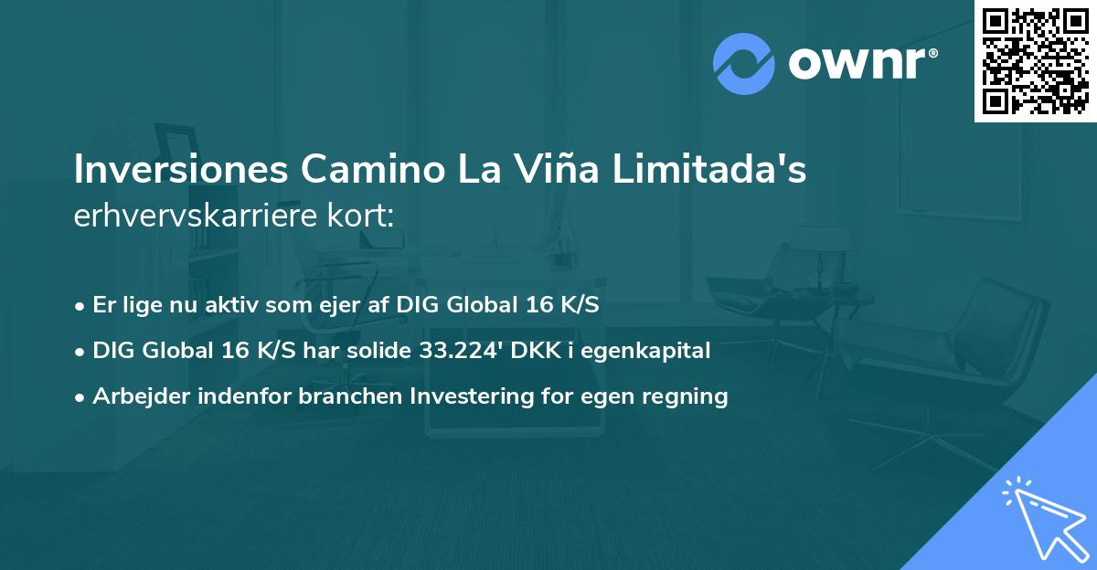 Inversiones Camino La Viña Limitada's erhvervskarriere kort