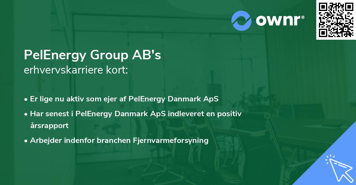 PelEnergy Group AB's erhvervskarriere kort