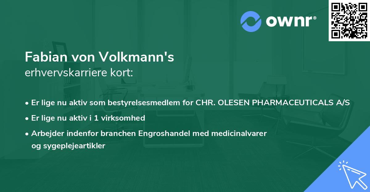 Fabian von Volkmann's erhvervskarriere kort