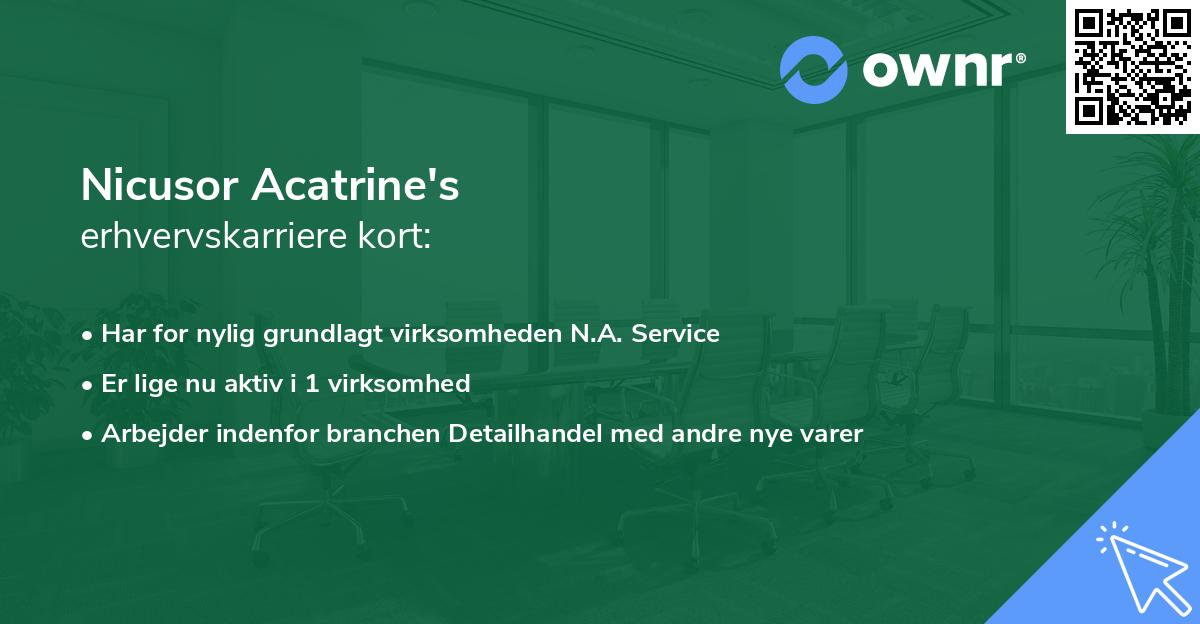 Nicusor Acatrine's erhvervskarriere kort